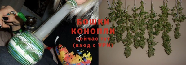 меф Инта
