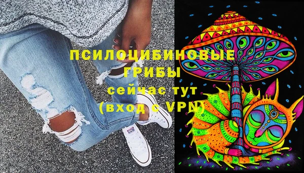 тгк Инсар